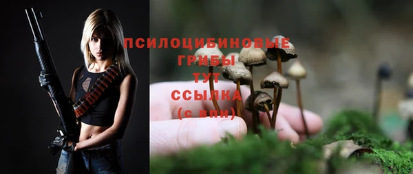 шишки Абинск