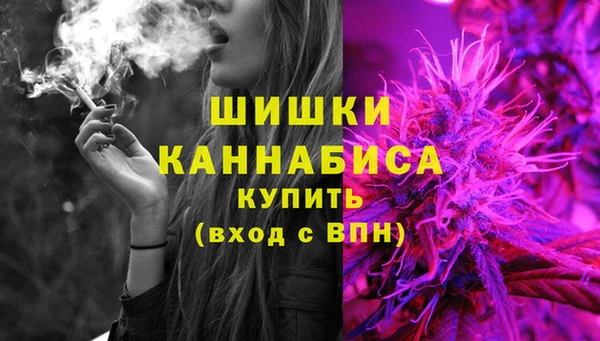 шишки Абинск