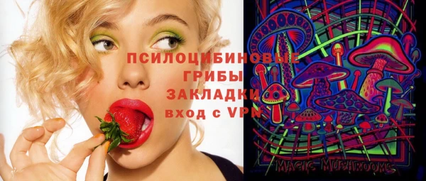 шишки Абинск