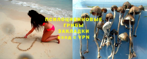 твердый Россошь