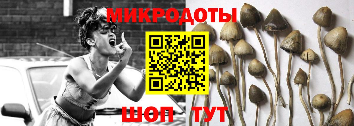 Волоколамск  Псилоцибиновые грибы прущие грибы  Псилоцибиновые грибы MAGIC MUSHROOMS  Вход с VPN 